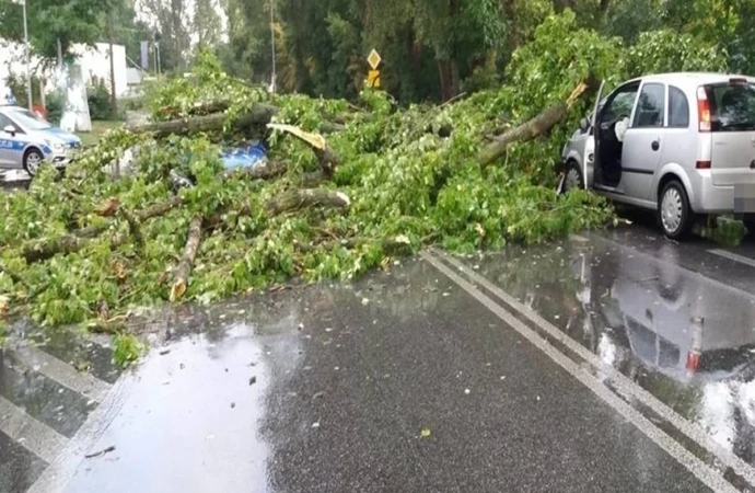 Silny wiatr sprawcą kolizji